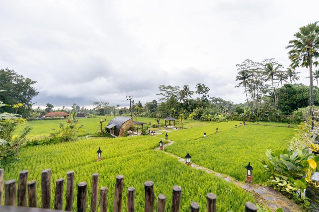 Anumana Village Ubud מראה חיצוני תמונה