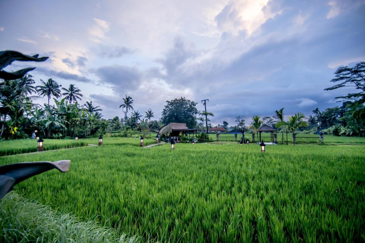 Anumana Village Ubud מראה חיצוני תמונה