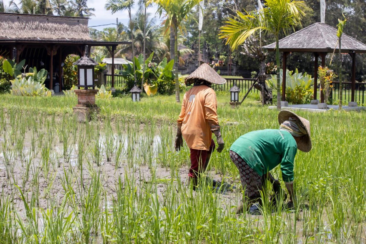 Anumana Village Ubud מראה חיצוני תמונה