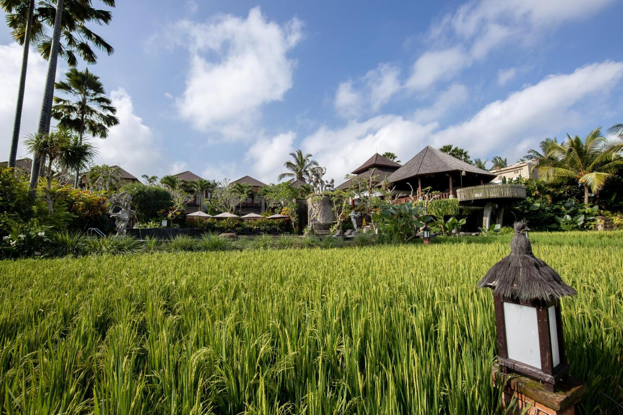 Anumana Village Ubud מראה חיצוני תמונה